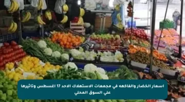 أسعار الخضار والفاكهة في مجمعات الاستهلاك الأحد 17 أغسطس وتأثيرها على السوق المحلي